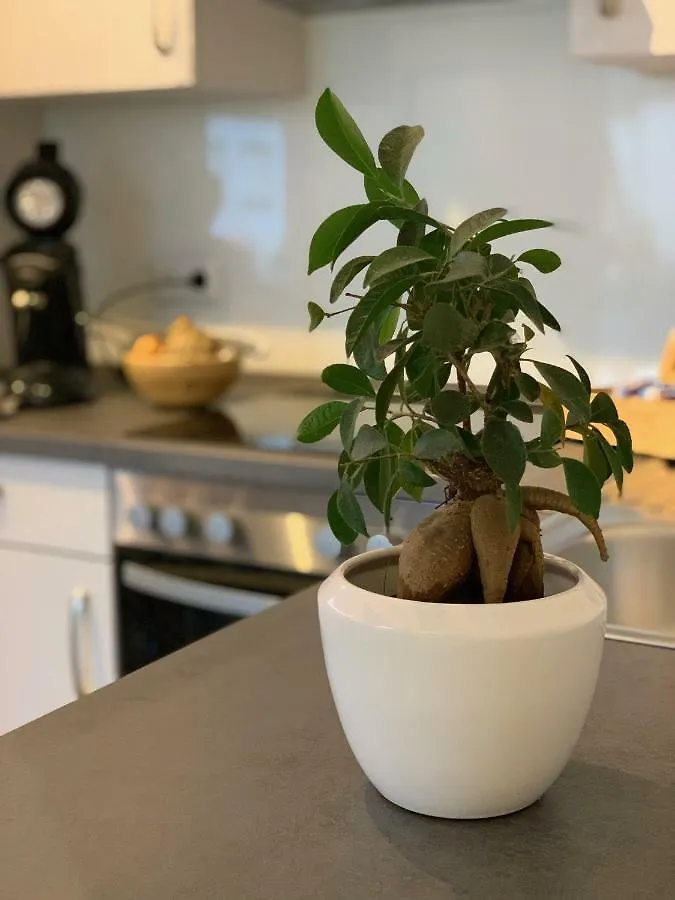 Apartment Koeln Ensen Duitsland