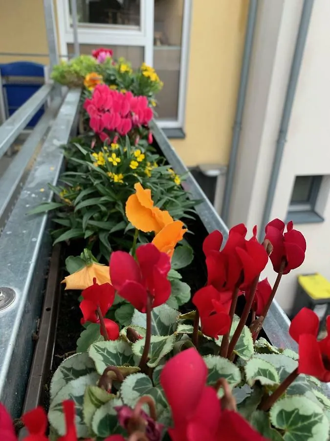 Apartment Koeln Ensen 0*, Keulen Duitsland